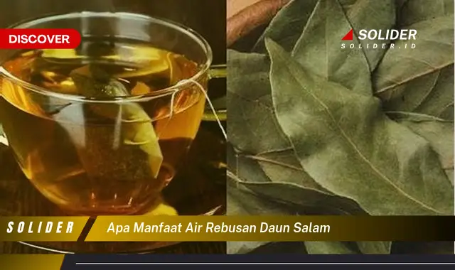 apa manfaat air rebusan daun salam