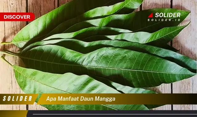 apa manfaat daun mangga