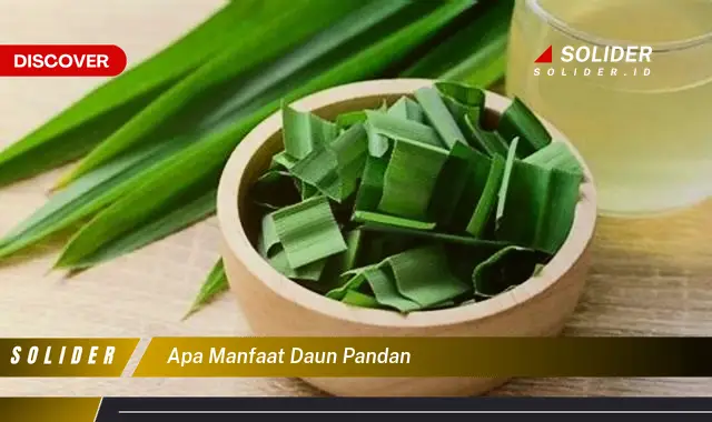 apa manfaat daun pandan