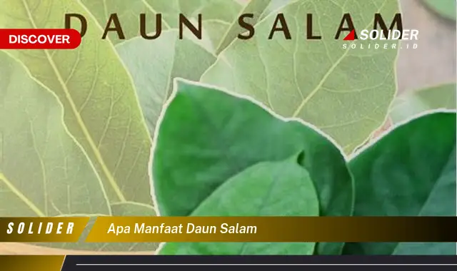 apa manfaat daun salam