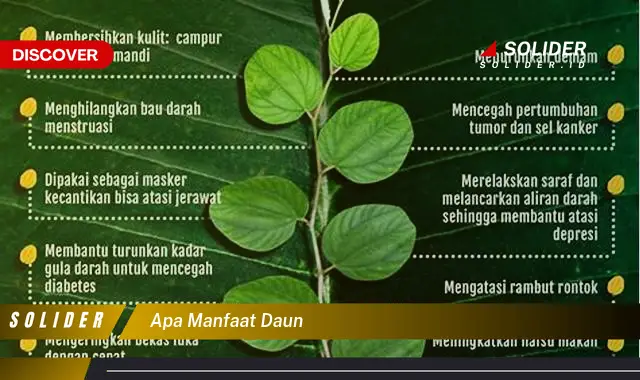 apa manfaat daun