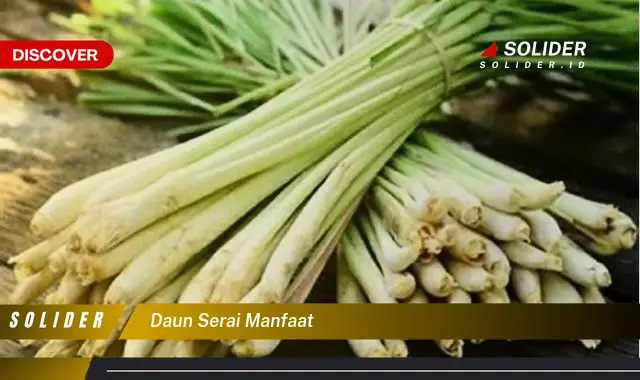 daun serai manfaat