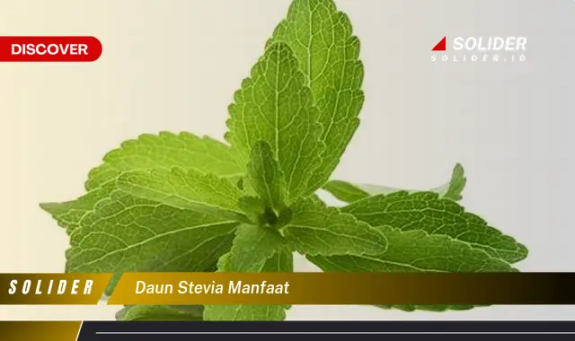 daun stevia manfaat