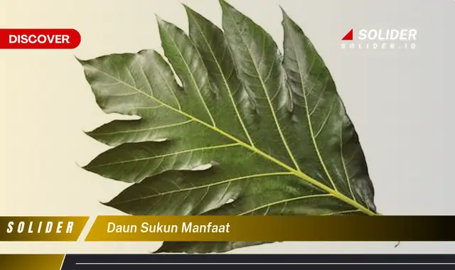 daun sukun manfaat