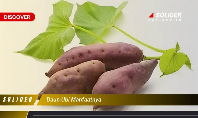 daun ubi manfaatnya