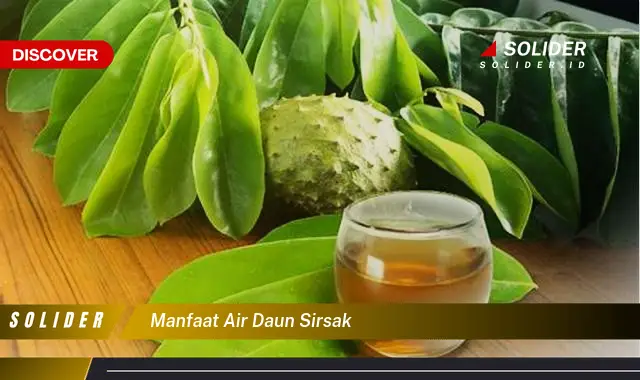 manfaat air daun sirsak