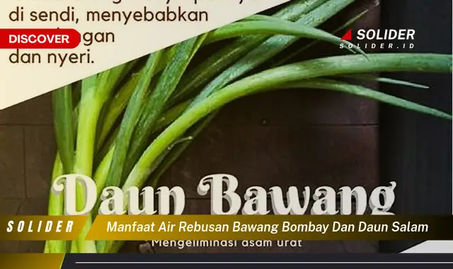 manfaat air rebusan bawang bombay dan daun salam