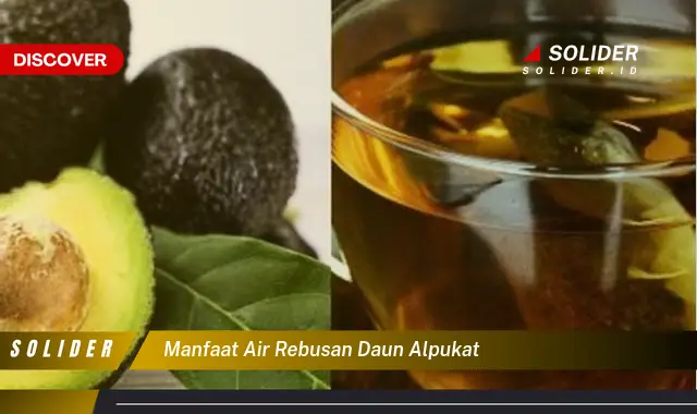 manfaat air rebusan daun alpukat