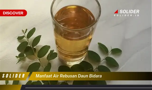 manfaat air rebusan daun bidara