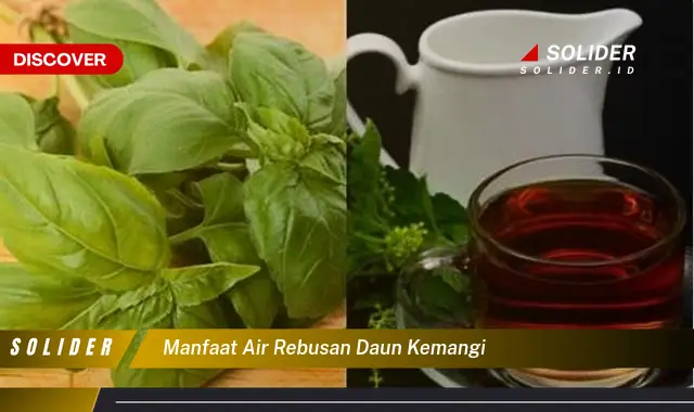 manfaat air rebusan daun kemangi