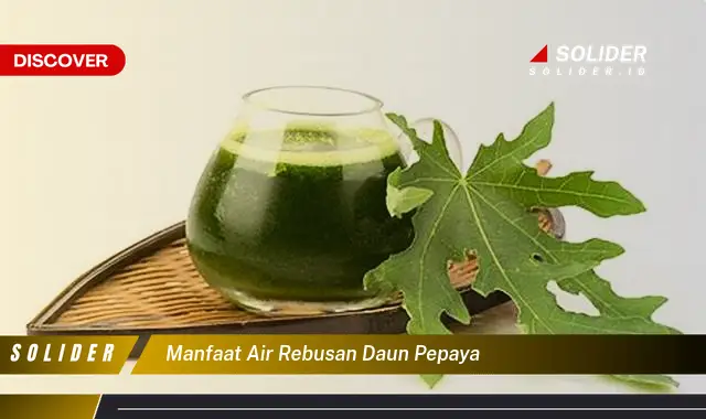 manfaat air rebusan daun pepaya