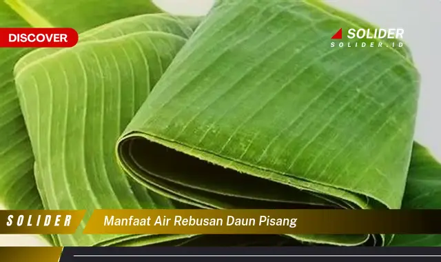 manfaat air rebusan daun pisang