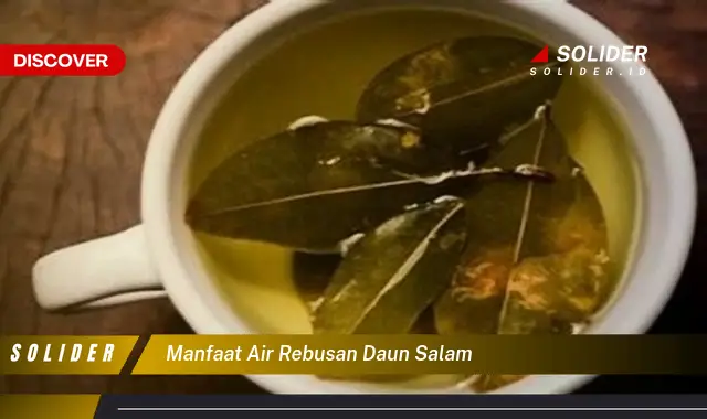 manfaat air rebusan daun salam