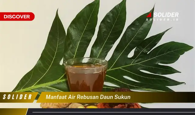 manfaat air rebusan daun sukun