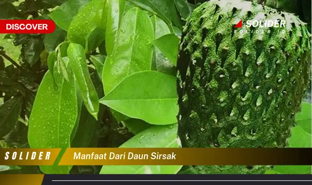 manfaat dari daun sirsak