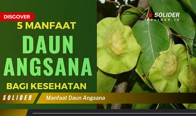 manfaat daun angsana