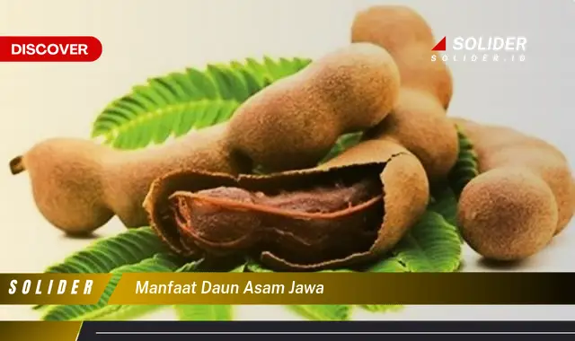 manfaat daun asam jawa