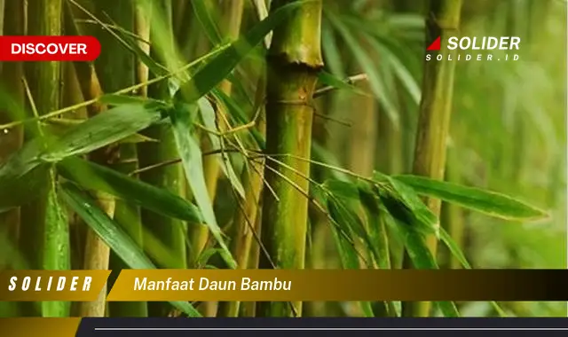 manfaat daun bambu