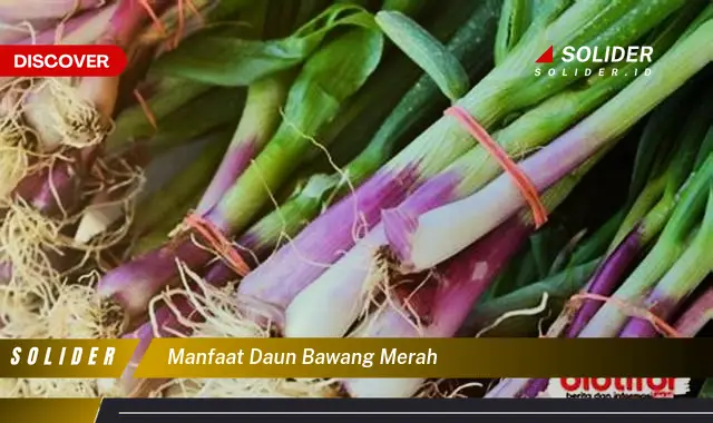 manfaat daun bawang merah