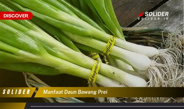 manfaat daun bawang prei