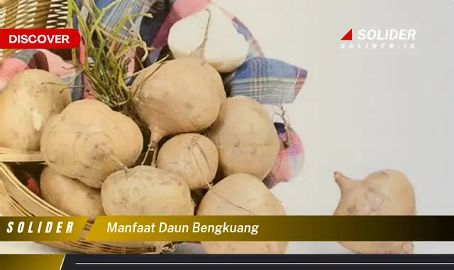 manfaat daun bengkuang