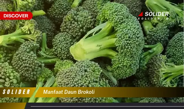 manfaat daun brokoli