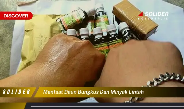 manfaat daun bungkus dan minyak lintah