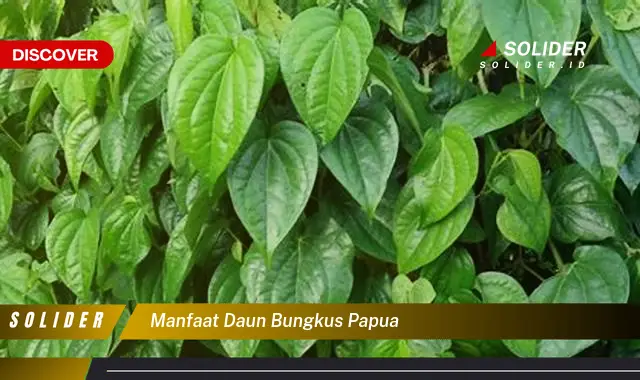 manfaat daun bungkus papua