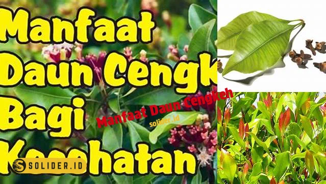 manfaat daun cengkeh