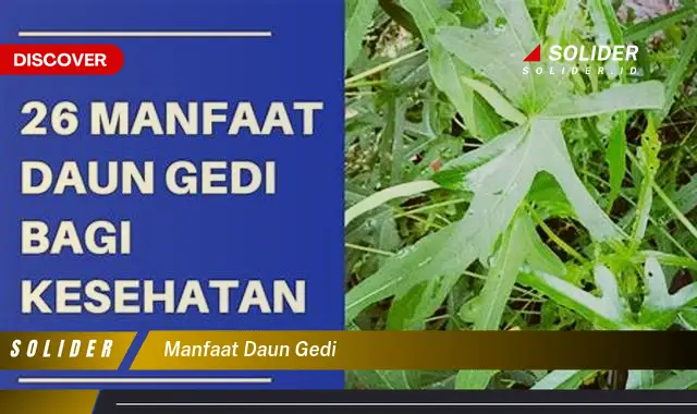 manfaat daun gedi