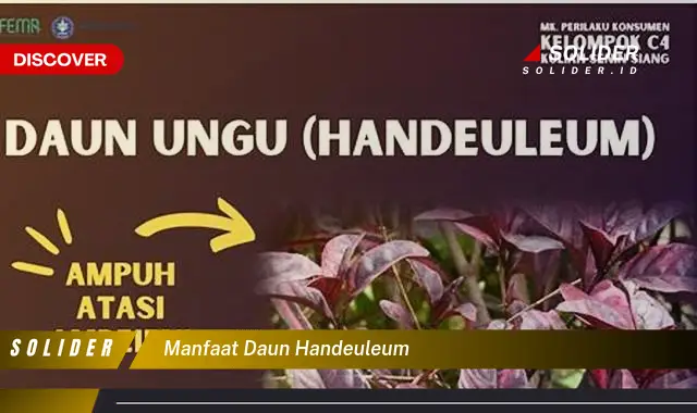 manfaat daun handeuleum