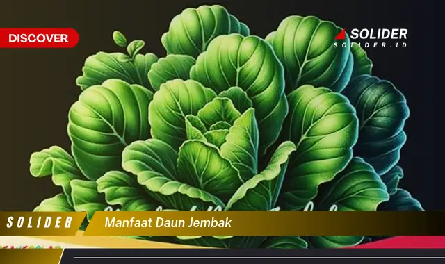 manfaat daun jembak