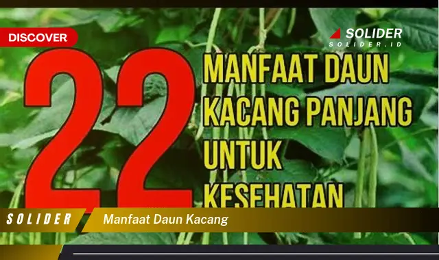 manfaat daun kacang