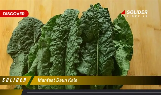 manfaat daun kale