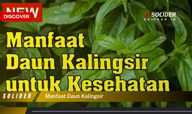 manfaat daun kalingsir