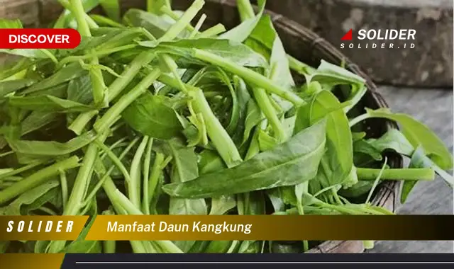 manfaat daun kangkung