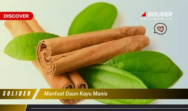 manfaat daun kayu manis