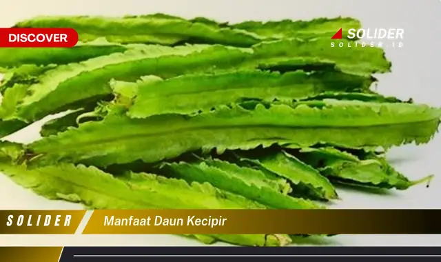 manfaat daun kecipir