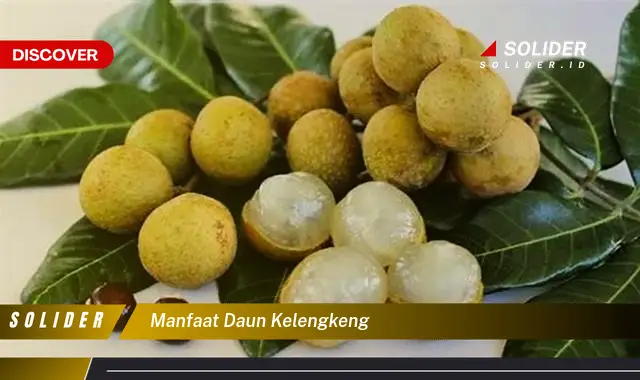 manfaat daun kelengkeng