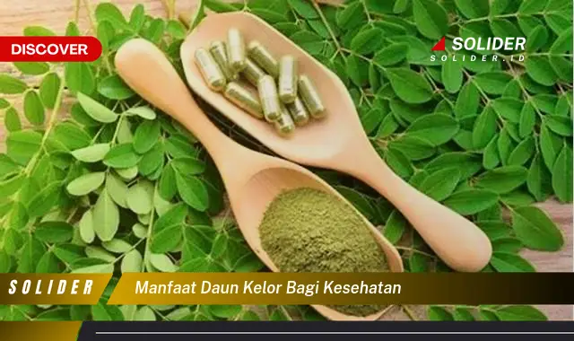 manfaat daun kelor bagi kesehatan