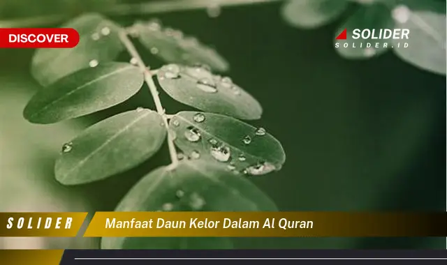 manfaat daun kelor dalam al quran