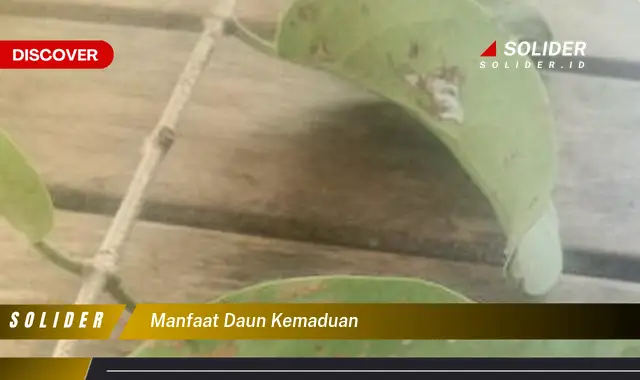 manfaat daun kemaduan