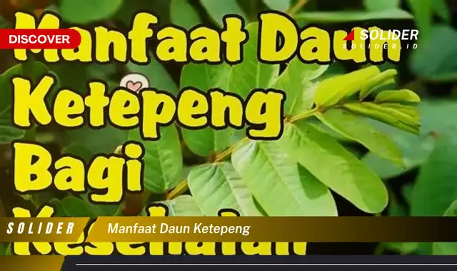 manfaat daun ketepeng