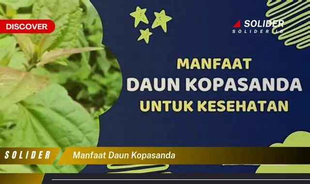 manfaat daun kopasanda