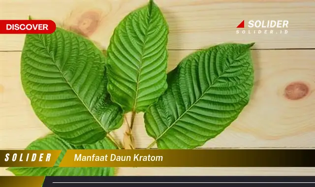 manfaat daun kratom