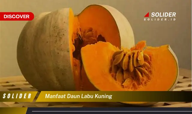 manfaat daun labu kuning