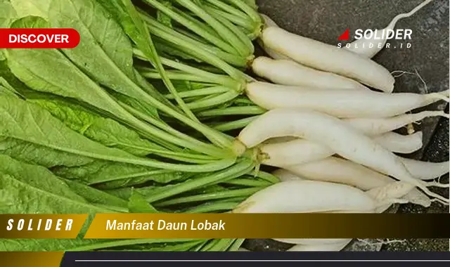 manfaat daun lobak