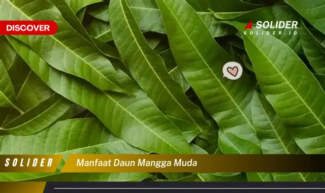 manfaat daun mangga muda