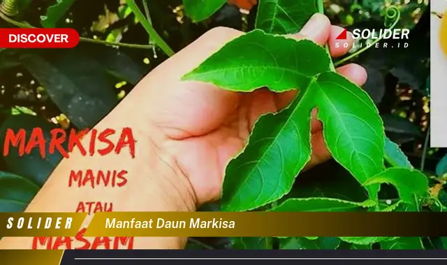 manfaat daun markisa