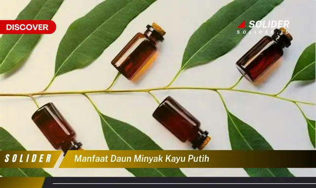 manfaat daun minyak kayu putih